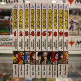 My Hero Academia - Ottime Condizioni - primi 20 volumi - serie in corso