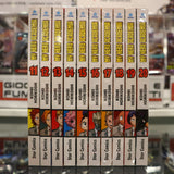 My Hero Academia - buone condizioni - 20 volumi - serie incompleta